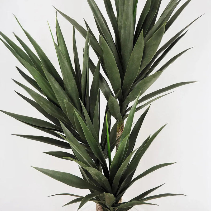 Faux Botanical Indoor Green Yucca - LOOMLAN - Le Present - Potted Plants