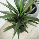 Faux Botanical Indoor Green Yucca - LOOMLAN - Le Present - Potted Plants