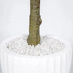 Faux Botanical Indoor Olive Tree Planter - LOOMLAN - Le Present - Artificial Trees