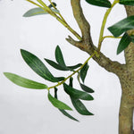 Faux Botanical Indoor Olive Tree Planter - LOOMLAN - Le Present - Artificial Trees