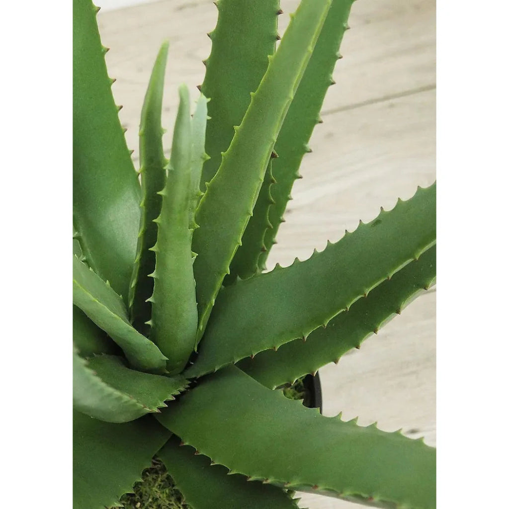 Faux Botanical Outdoor Green Aloe with Pot - LOOMLAN - Potted Plants