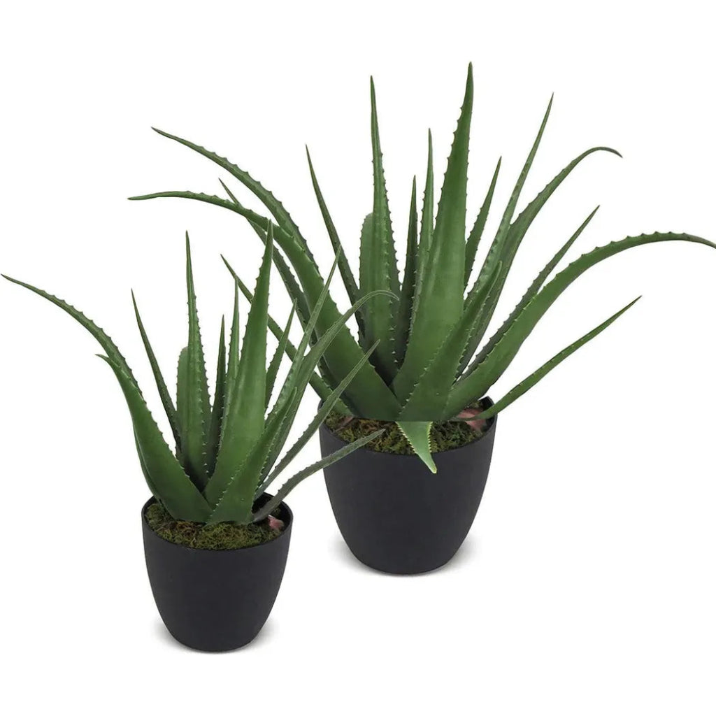 Faux Botanical Outdoor Green Aloe with Pot - LOOMLAN - Potted Plants