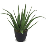 Faux Botanical Outdoor Green Aloe with Pot - LOOMLAN - Potted Plants