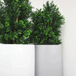 Faux Botanical Outdoor Green Boxwood Tree - LOOMLAN - Le Present - Artificial Trees