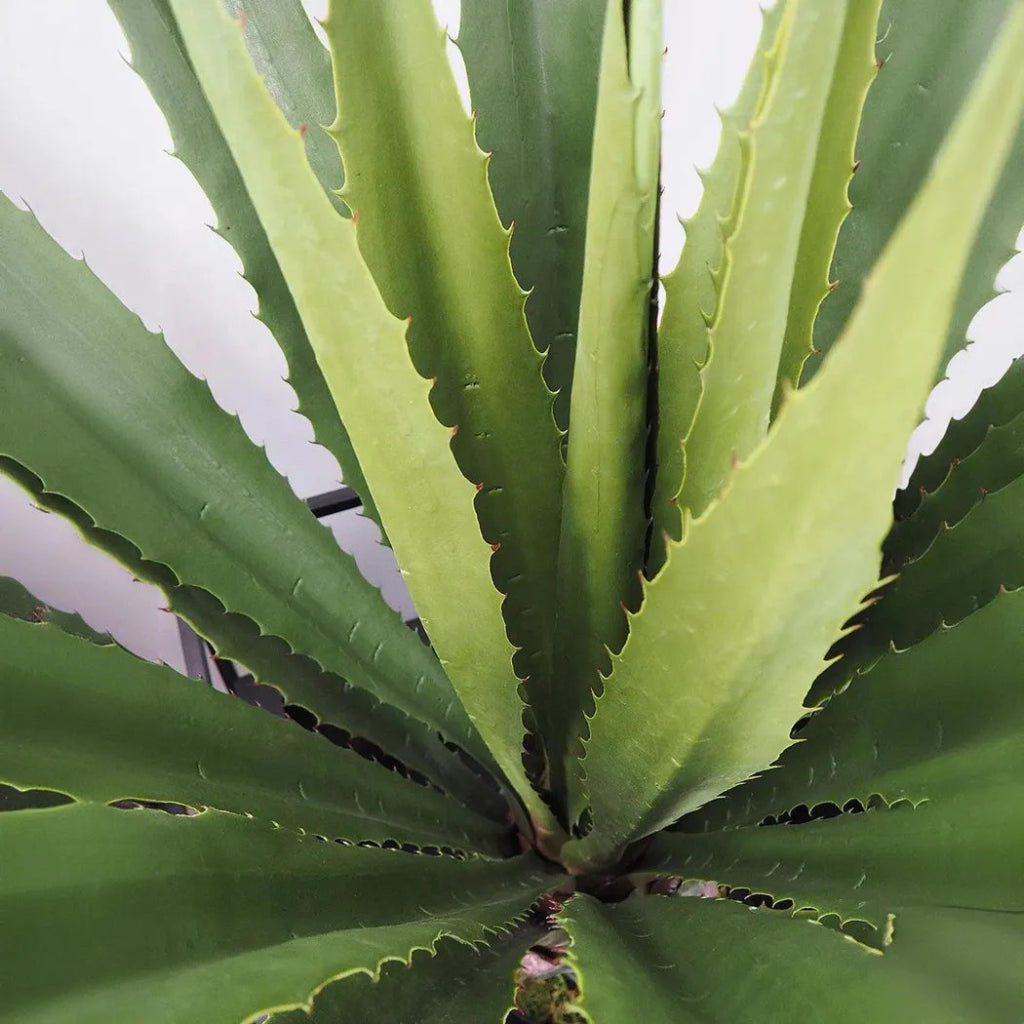 Faux Botanical Outdoor Green Giant Agave - LOOMLAN - Potted Plants