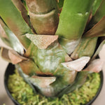 Faux Botanical Outdoor Green Giant Agave - LOOMLAN - Potted Plants