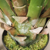 Faux Botanical Outdoor Green Giant Agave - LOOMLAN - Le Present - Potted Plants