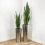 Faux Botanical Outdoor Green Sansevieria - LOOMLAN - Potted Plants