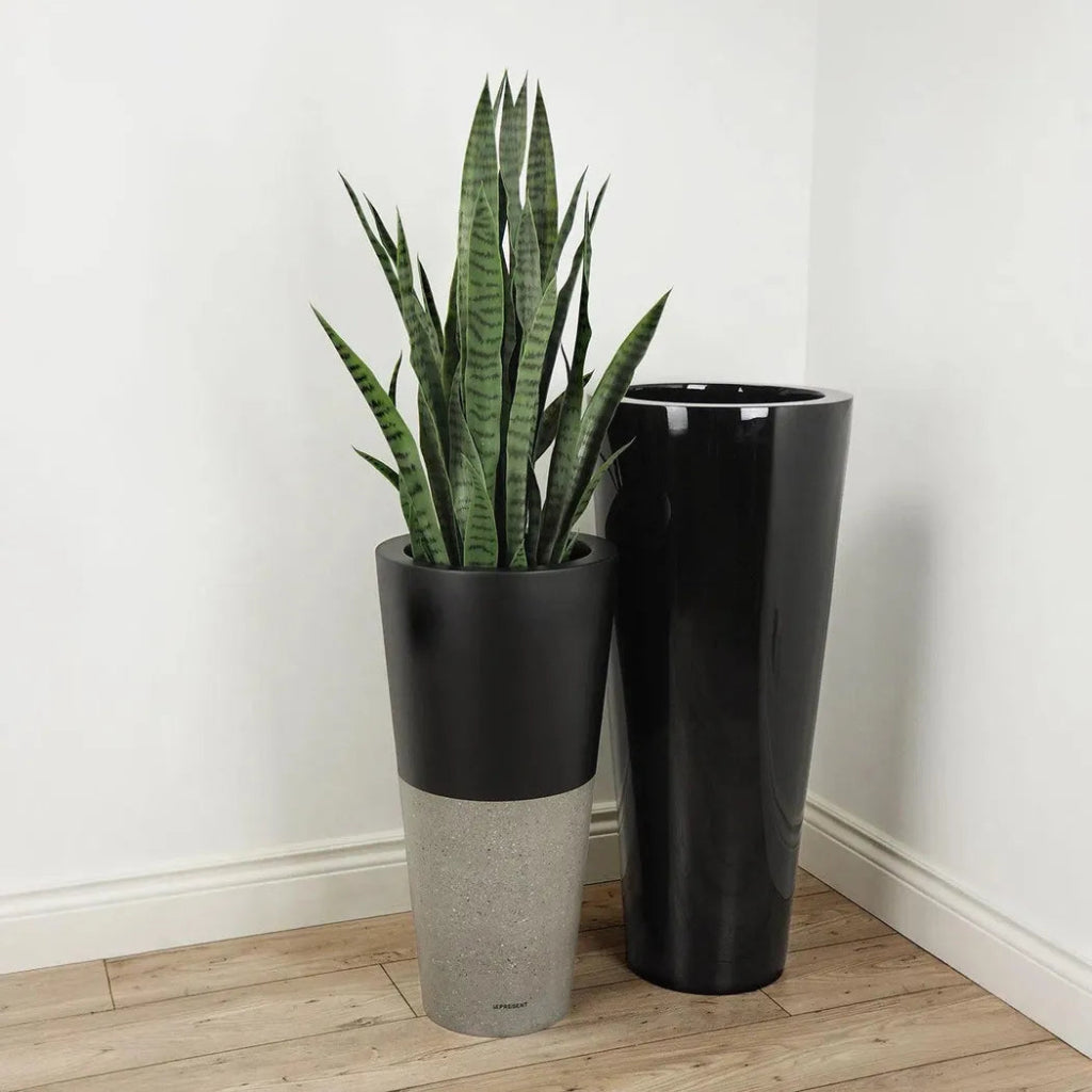 Faux Botanical Outdoor Green Sansevieria - LOOMLAN - Potted Plants