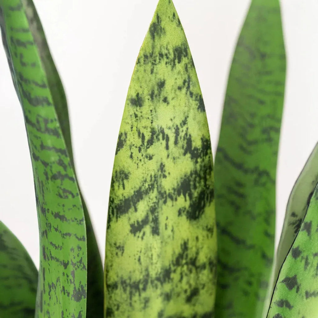 Faux Botanical Outdoor Green Sansevieria - LOOMLAN - Potted Plants