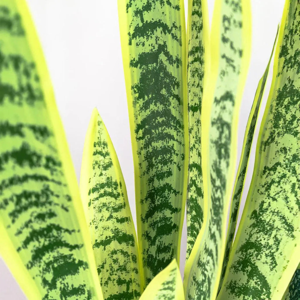 Faux Botanical Outdoor Green Sansevieria - LOOMLAN - Potted Plants