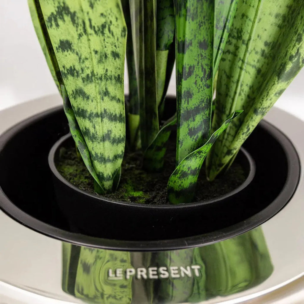 Faux Botanical Outdoor Green Sansevieria - LOOMLAN - Potted Plants