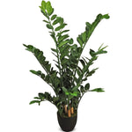 Faux Botanical Outdoor Green Zamio - LOOMLAN - Potted Plants