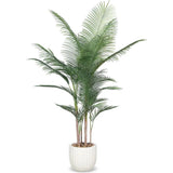 Faux Outdoor Madagascar Palm Planter - LOOMLAN - Le Present - Potted Plants