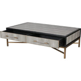 Grey Shagreen Coffee Table With Drawers - LOOMLAN - Moe's Home - Coffee Tables