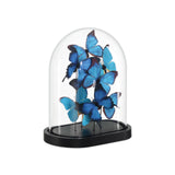 13 in. Rue de Bac Wood and Glass Blue Butterflies Sculpture Statues & Sculptures LOOMLAN By Currey & Co