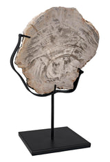 8" Wood Fossil with Stand Sculpture Statues & Sculptures LOOMLAN By Noir