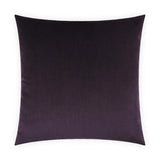 Belvedere Amethyst Dark Purple Throw Pillow With Insert Throw Pillows LOOMLAN By D.V. Kap