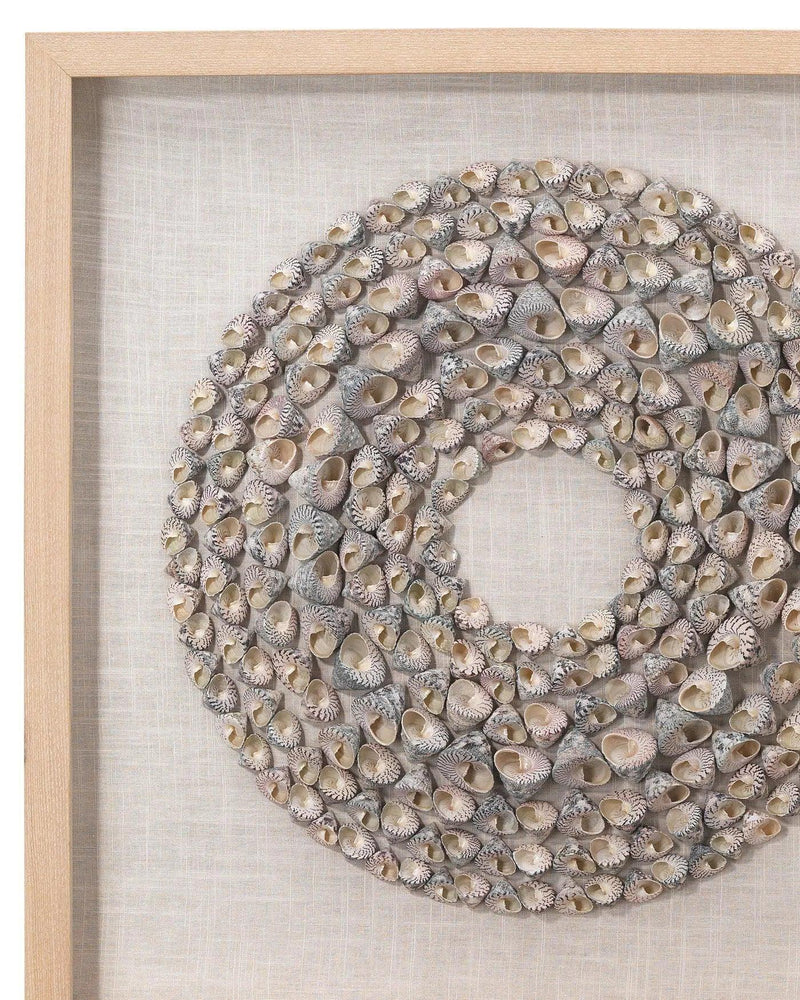 Coastal Style Screw Shells Pine Wood Bora Bora Framed Wall Art Artwork LOOMLAN By Jamie Young