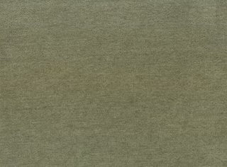 Lido Olive