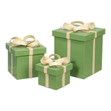 Ferrell Leather and Mdf Green Holiday Boxes Set of 3 Boxes & Bowls LOOMLAN By Sarreid