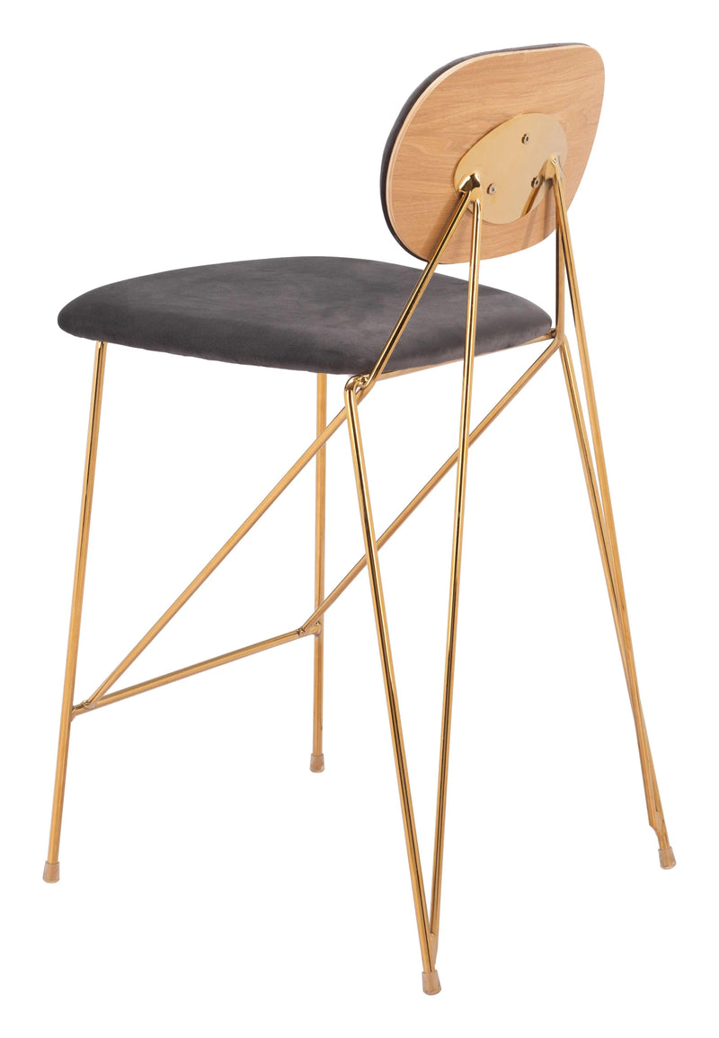 Georges Gray and Gold Counter Stool (Set of 2) Counter Stools LOOMLAN By Zuo Modern