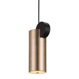 Golden Lighting Pendant Martiza Ceiling Lamp Gold Pendants LOOMLAN By Zuo Modern