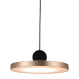 Mozu Ceiling Lamp Gold Pendants LOOMLAN By Zuo Modern