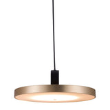 Mozu Ceiling Lamp Gold Pendants LOOMLAN By Zuo Modern