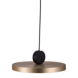 Mozu Ceiling Lamp Gold Pendants LOOMLAN By Zuo Modern