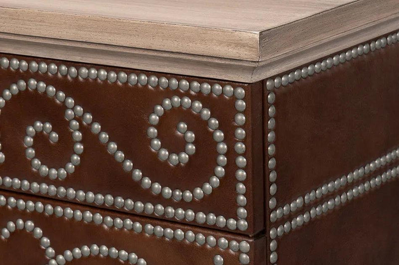 Theodore Equestrian Door Leather Cabinet With Drawers Accent Cabinets LOOMLAN By Sarreid