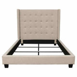 Tufted Wingback Low Profile Bed Frame Beds LOOMLAN By Diamond Sofa
