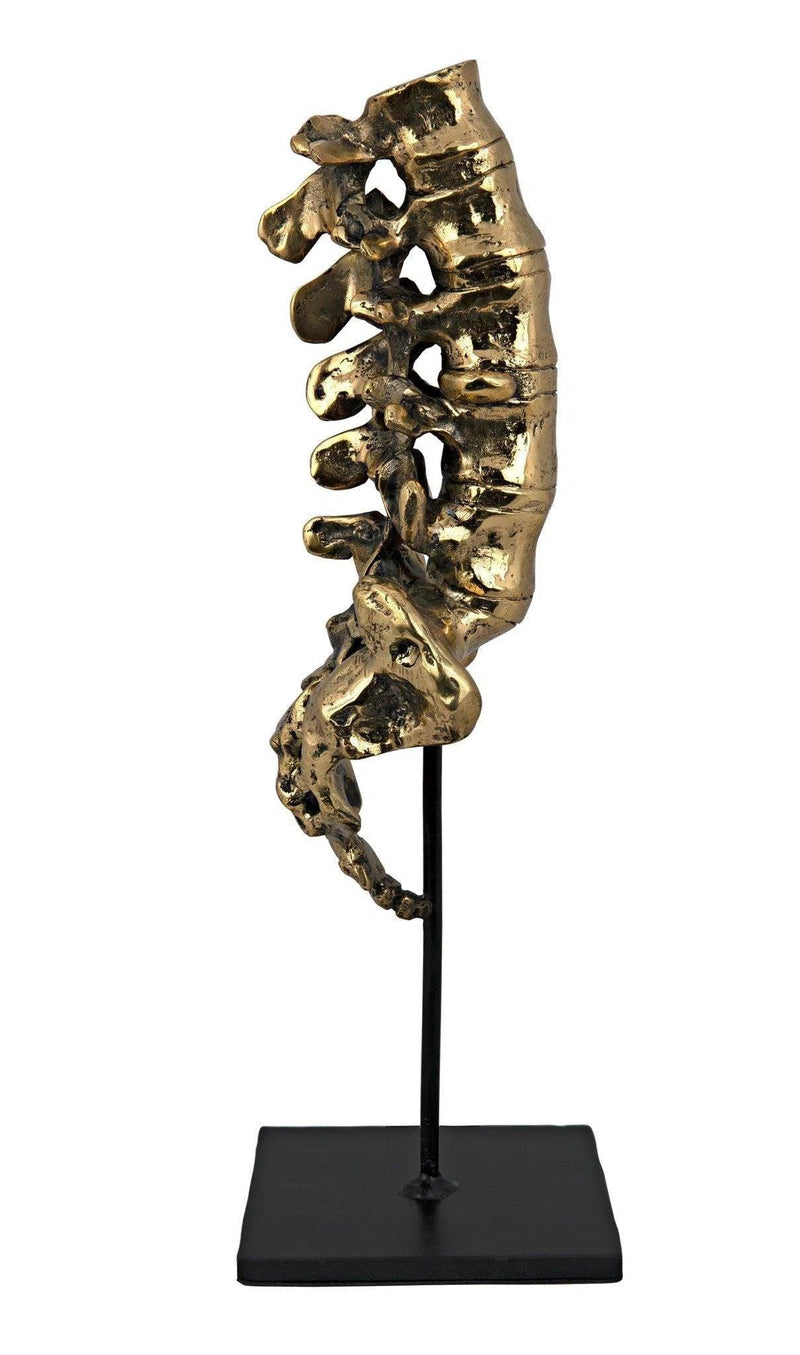 Vertebrae Antique Brass and Steel Sculpture Statues & Sculptures LOOMLAN By Noir