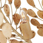 Maypan 4 - Light Coco Shell Chandelier - LOOMLAN - Currey & Co - Chandeliers