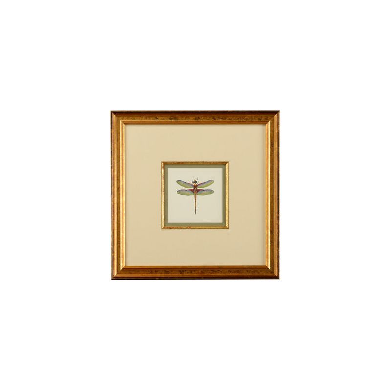 Miniature Dragonfly Gold Framed Artwork - LOOMLAN - Chelsea House - Artwork