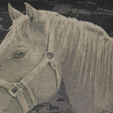 Mister Ed Black Throw Pillow With Insert - LOOMLAN - D.V. Kap - Throw Pillows