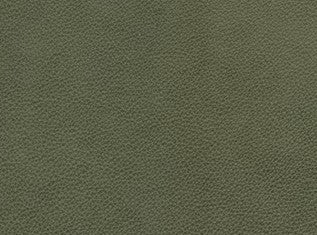 Granada Moss