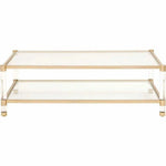 Nouveau Coffee Table With Shelves Brass Lucite Glass - LOOMLAN - Essentials For Living - Coffee Tables