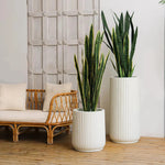 NudropFiberglass Pin Planter - LOOMLAN - Le Present - Planters