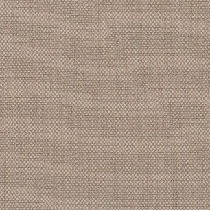 Sahara