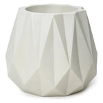 Tulip Modern Designed Fiberglass Planter - LOOMLAN - Le Present - Planters