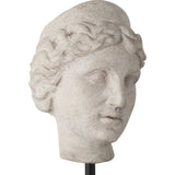 Venus Head On Stand Set Sculpture (Set Of 2) - LOOMLAN - Currey & Co - Statues & Sculptures