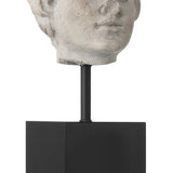 Venus Head On Stand Set Sculpture (Set Of 2) - LOOMLAN - Currey & Co - Statues & Sculptures