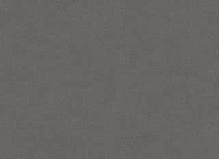 Seven Dolphin