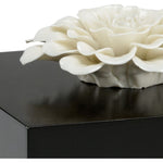 Zinnia Hand Sculpted Petals Topped Black Box - LOOMLAN - Wildwood - Boxes & Bowls